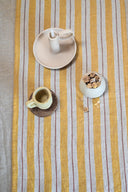 Linen Segue Placemat Set
