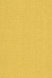 Lime Yellow